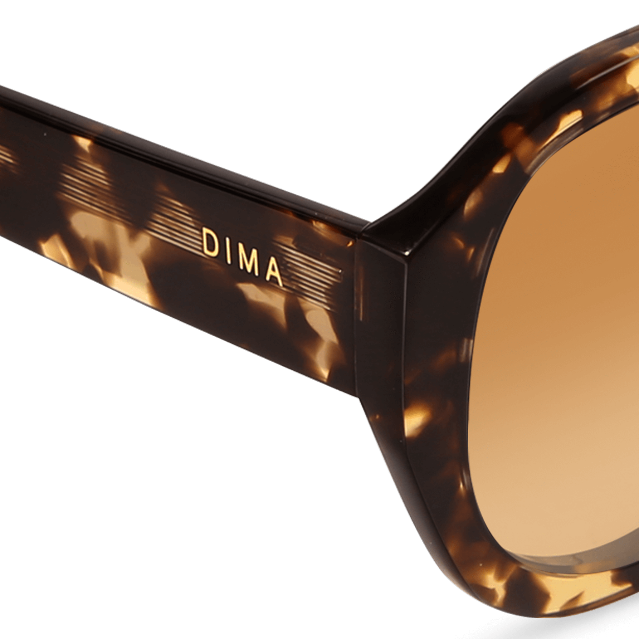 DIMA Eyewear Saffron Espresso Tortoise Frame Brown Gradient Lens 4