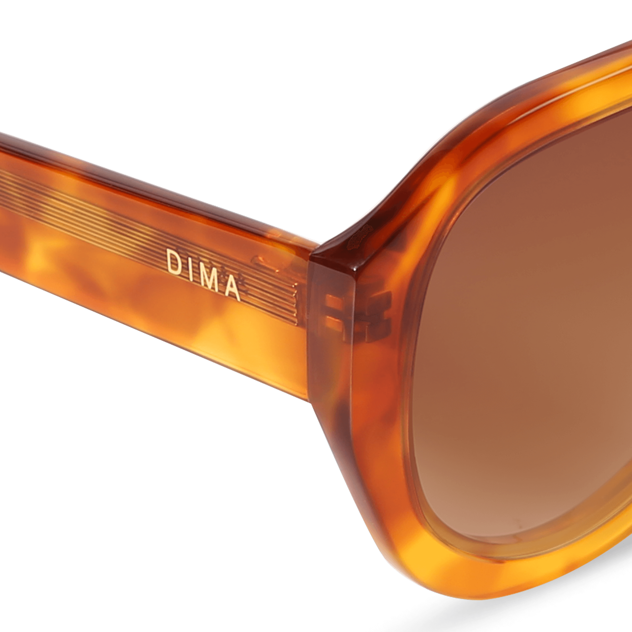 DIMA Eyewear Saffron Havana Frame Brown Lens 5