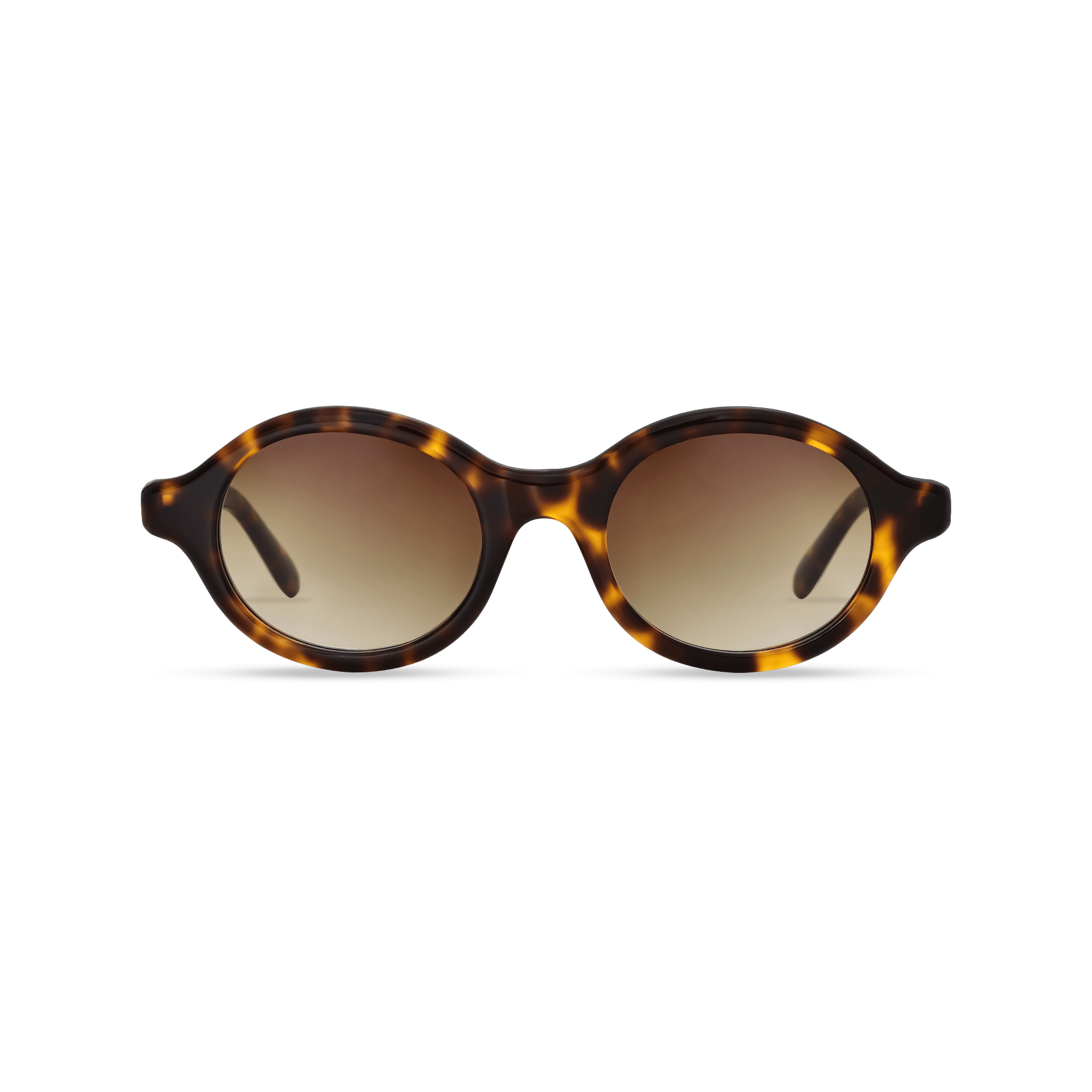 Dima Eyewear Aila Amber Tortoise Frame Brown Gradient Lens 1