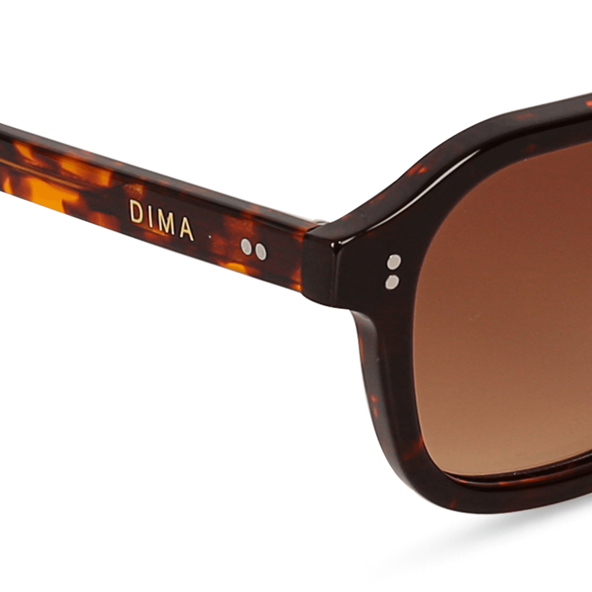 dima sunglass cameo havana frame brown gradient lens 5