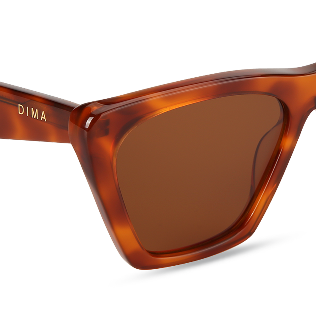 dima sunglass gleam amber tortoise frame brown lens 4