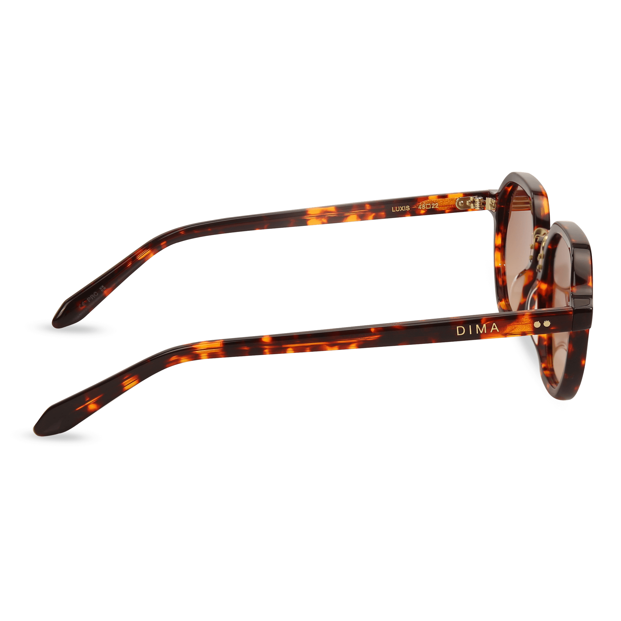 dima sunglass luxis havana frame brown gradient lens 3