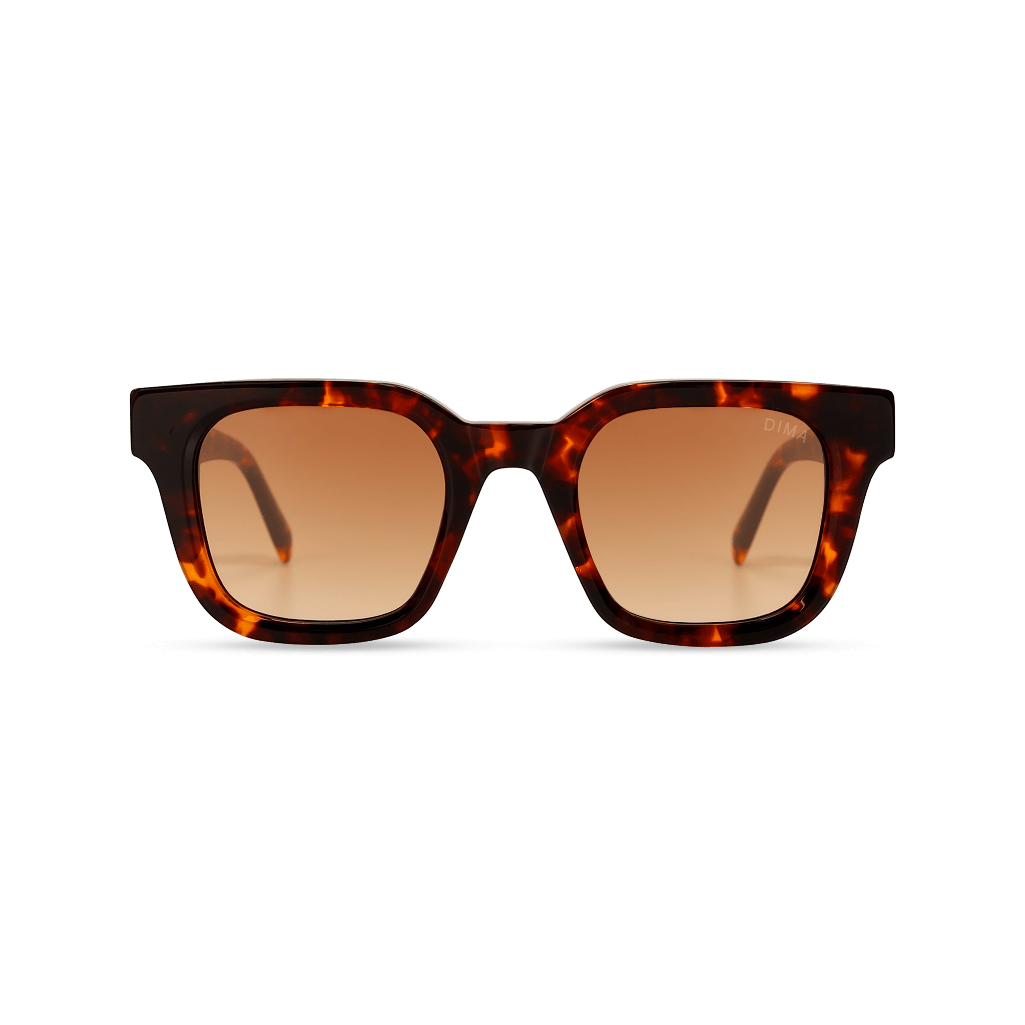dima sunglass marlo havana frame brown gradient lens 2