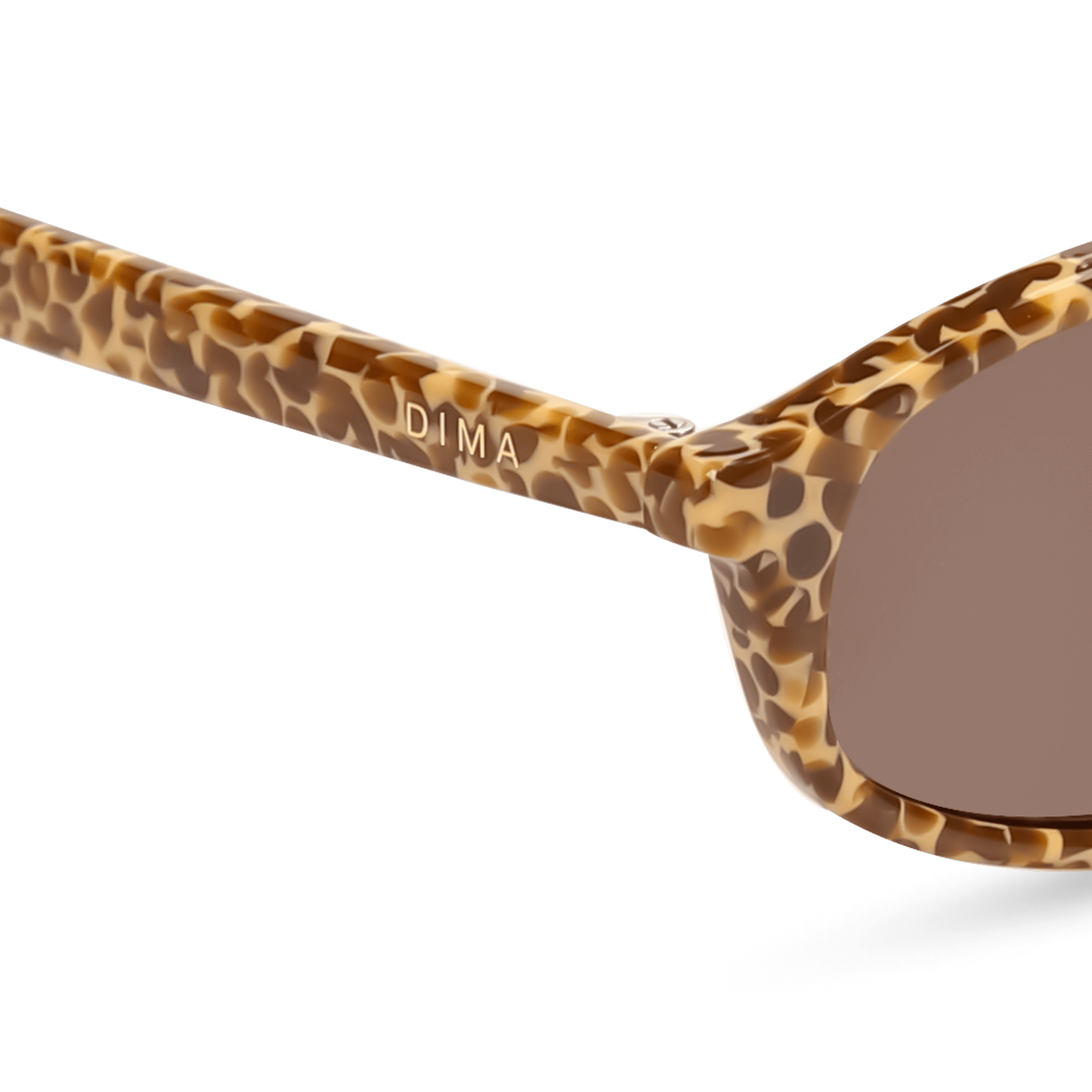 dima sunglass sundra brown blocks frame brown lens 4