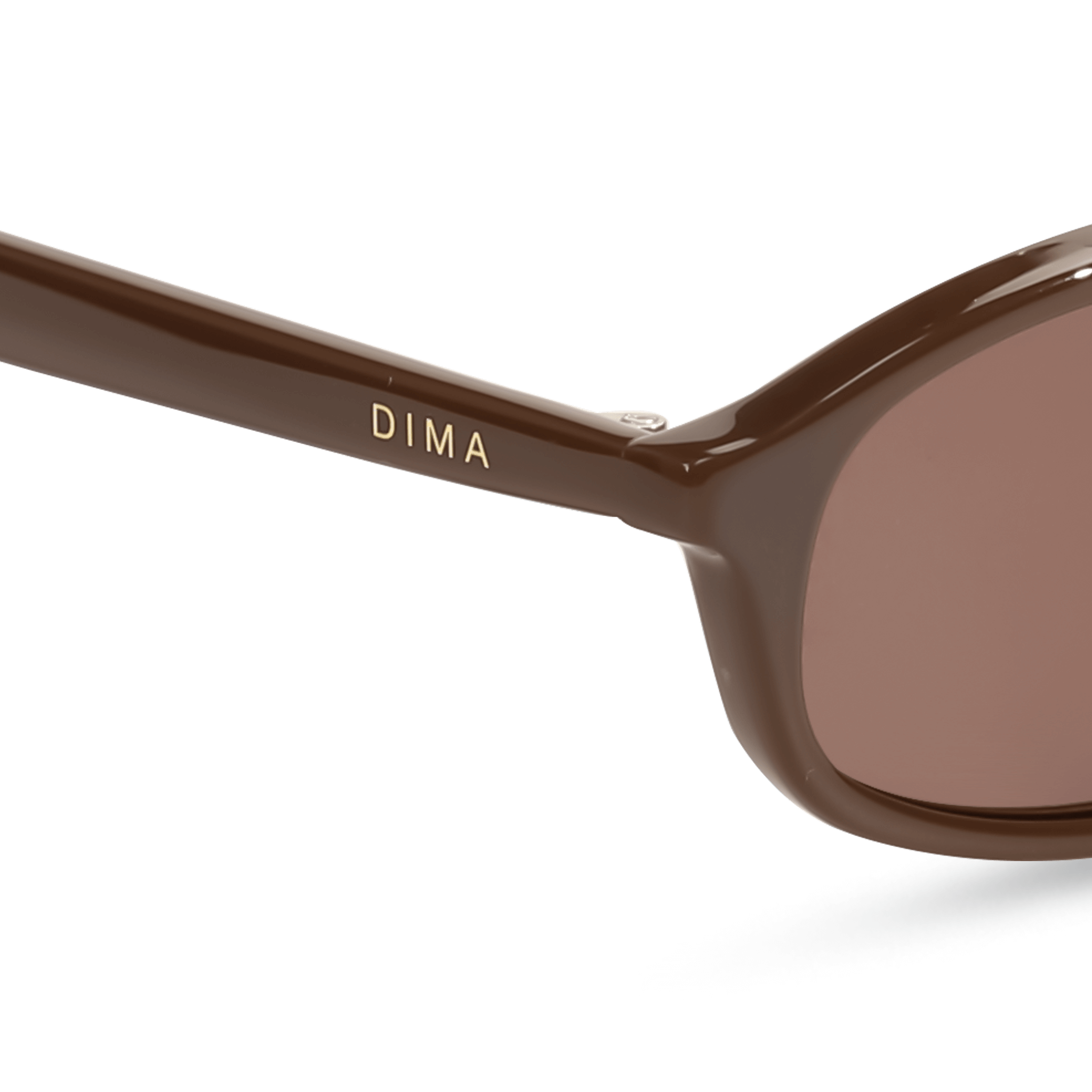 dima sunglass sundra brown frame brown lens 4