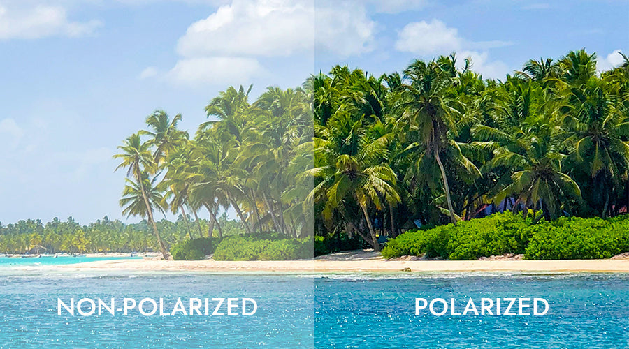Unveiling the Science Behind Polarized Sunglasses: Enhancing Visual Clarity and Reducing Glare