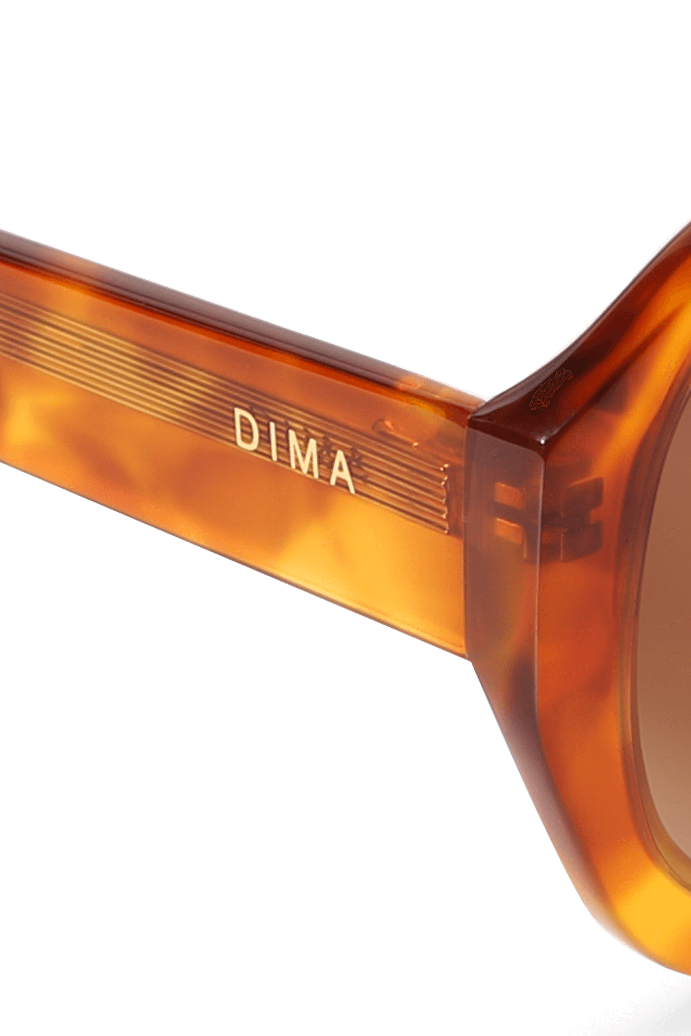 DIMA Eyewear Saffron Havana Frame Brown Lens 5