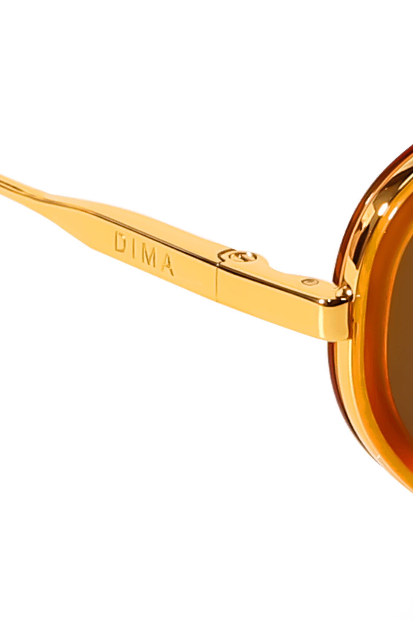DIMA Eyewear Solis Gold Amber Tortoise Frame Brown Lens 5