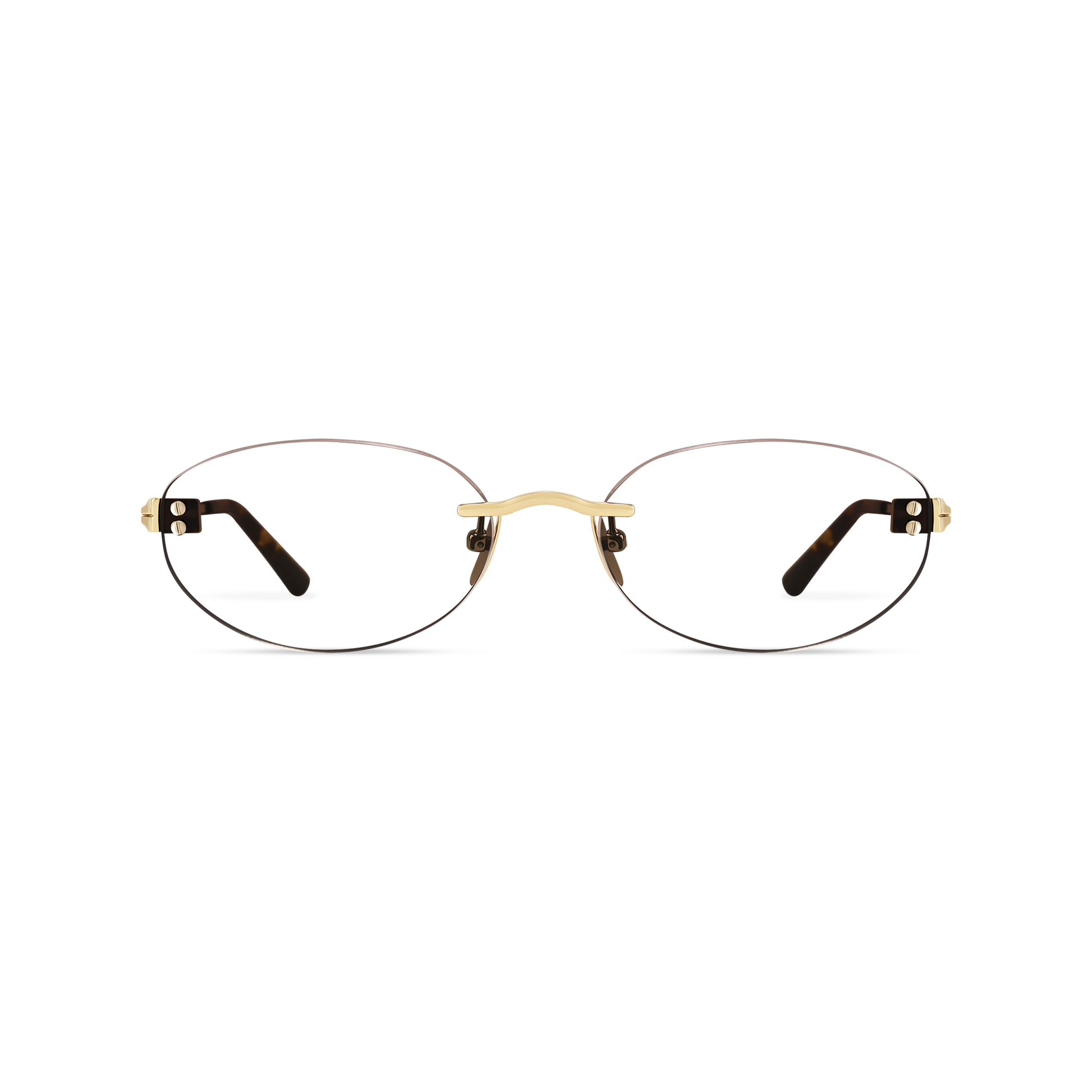 Elara Gold/Dark Tortoise Frame Glasses