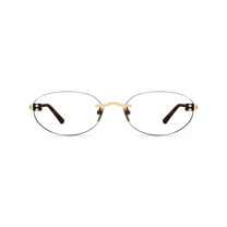 Elara Gold/Dark Tortoise Frame Glasses