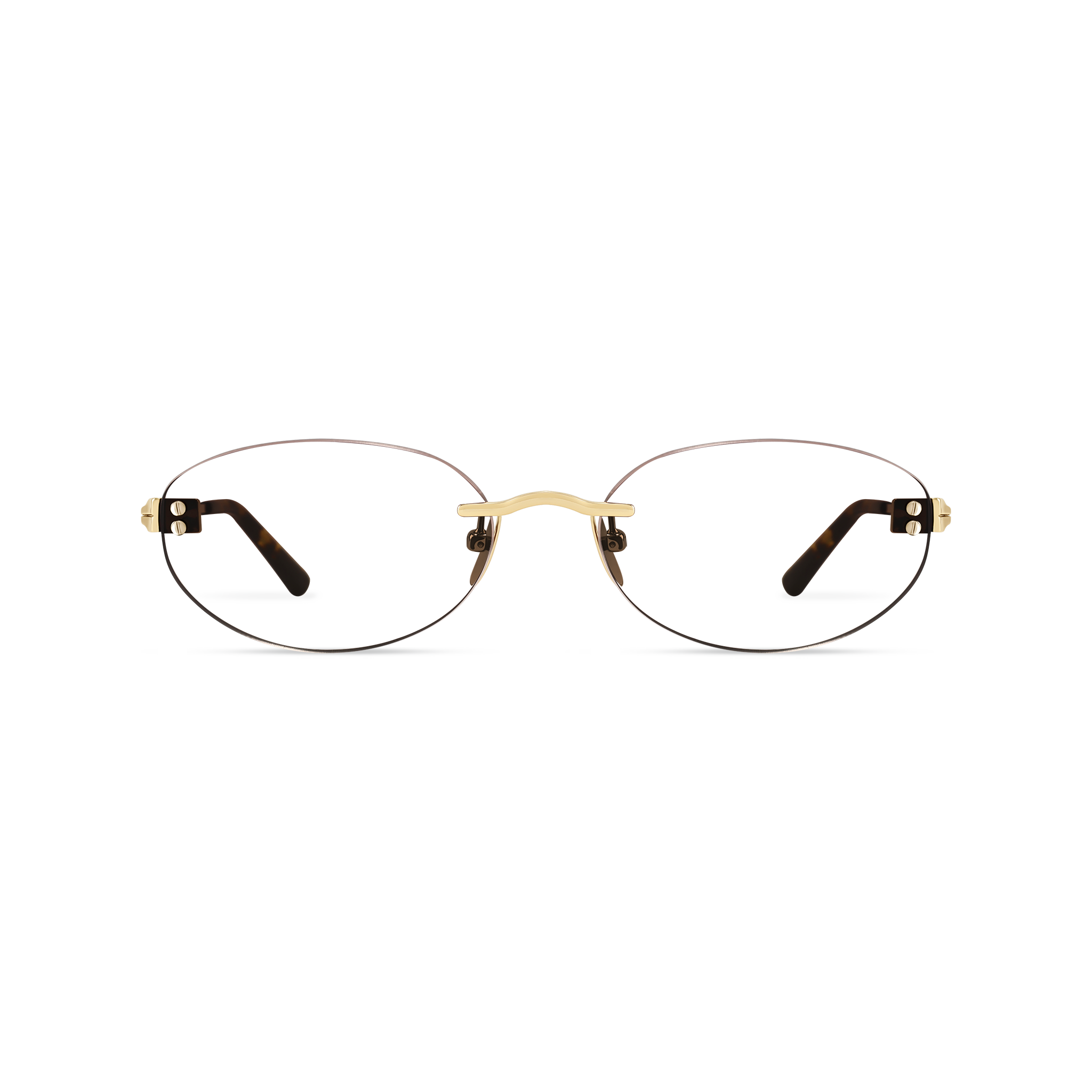 Elara Gold/Dark Tortoise Frame Glasses