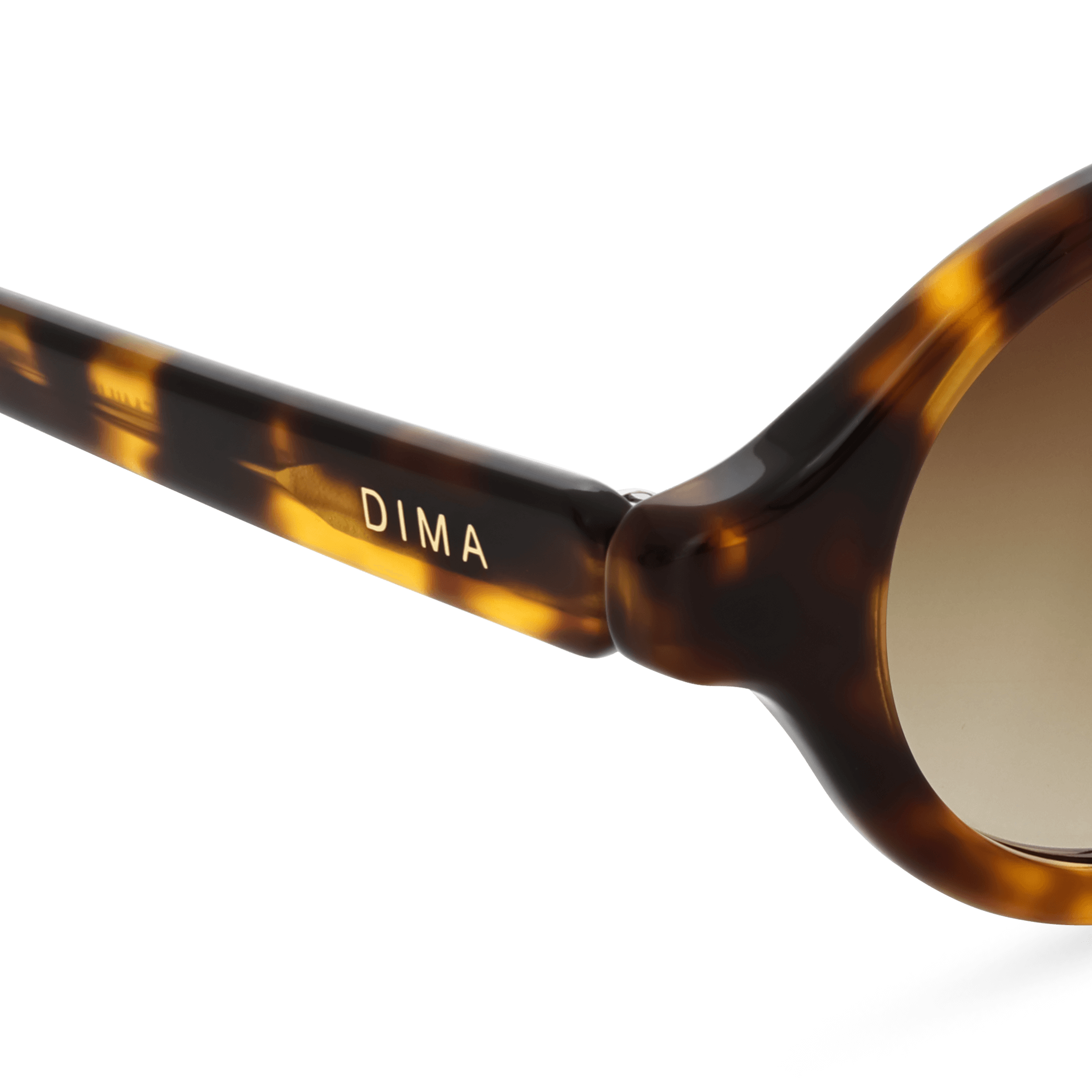 Dima Eyewear Aila Amber Tortoise Frame Brown Gradient Lens 5