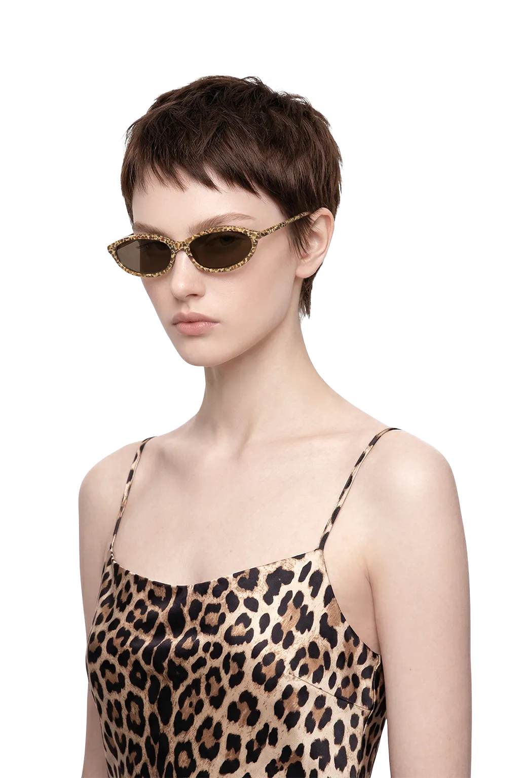 Dima dina brown blocks sunglasses feature cool cat-eye feminine chic