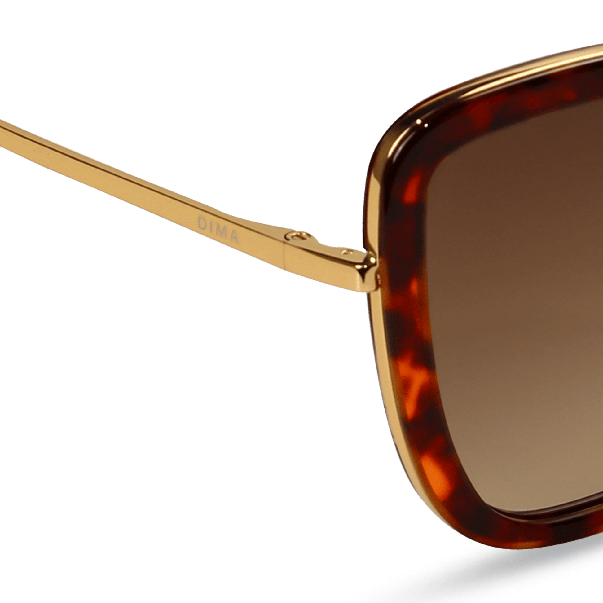 dima sunglass Isla gold dark tortoise frame brown gradient lens 4