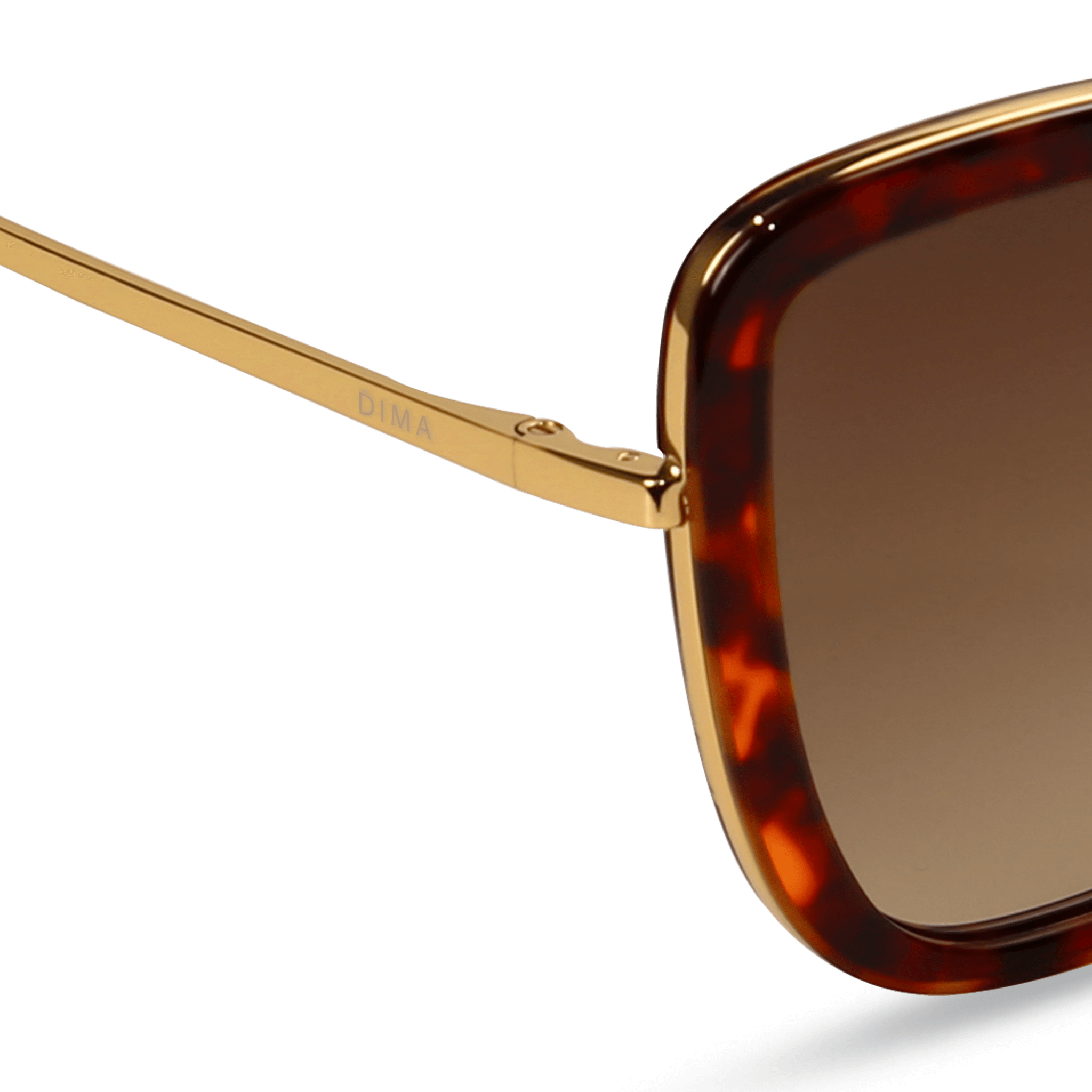 dima sunglass Isla gold dark tortoise frame brown gradient lens 4