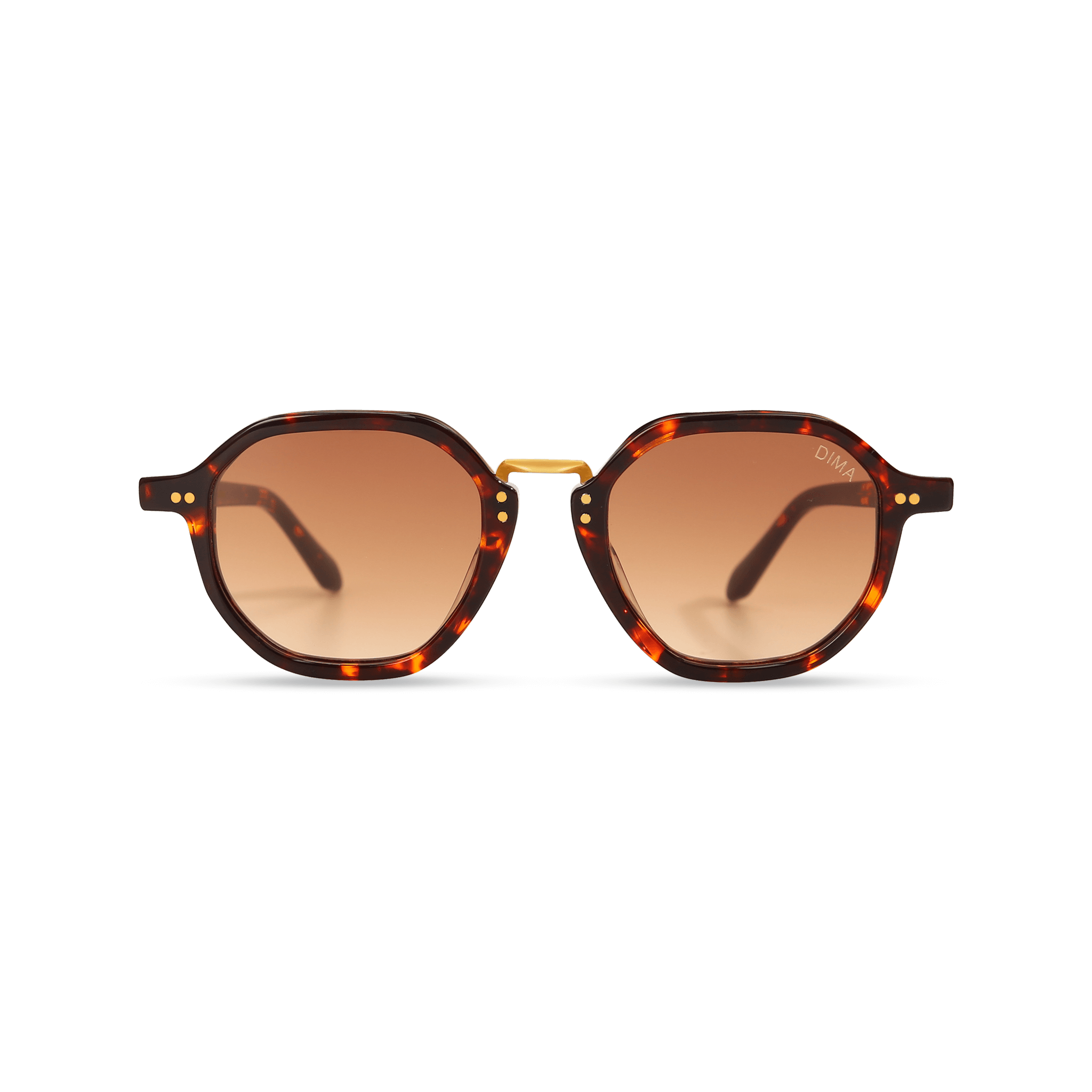 dima sunglass luxis havana frame brown gradient lens 2