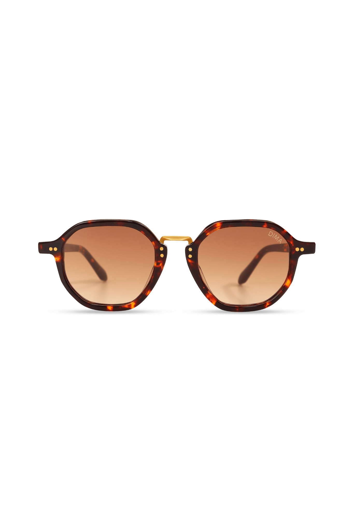 dima sunglass luxis havana frame brown gradient lens 2