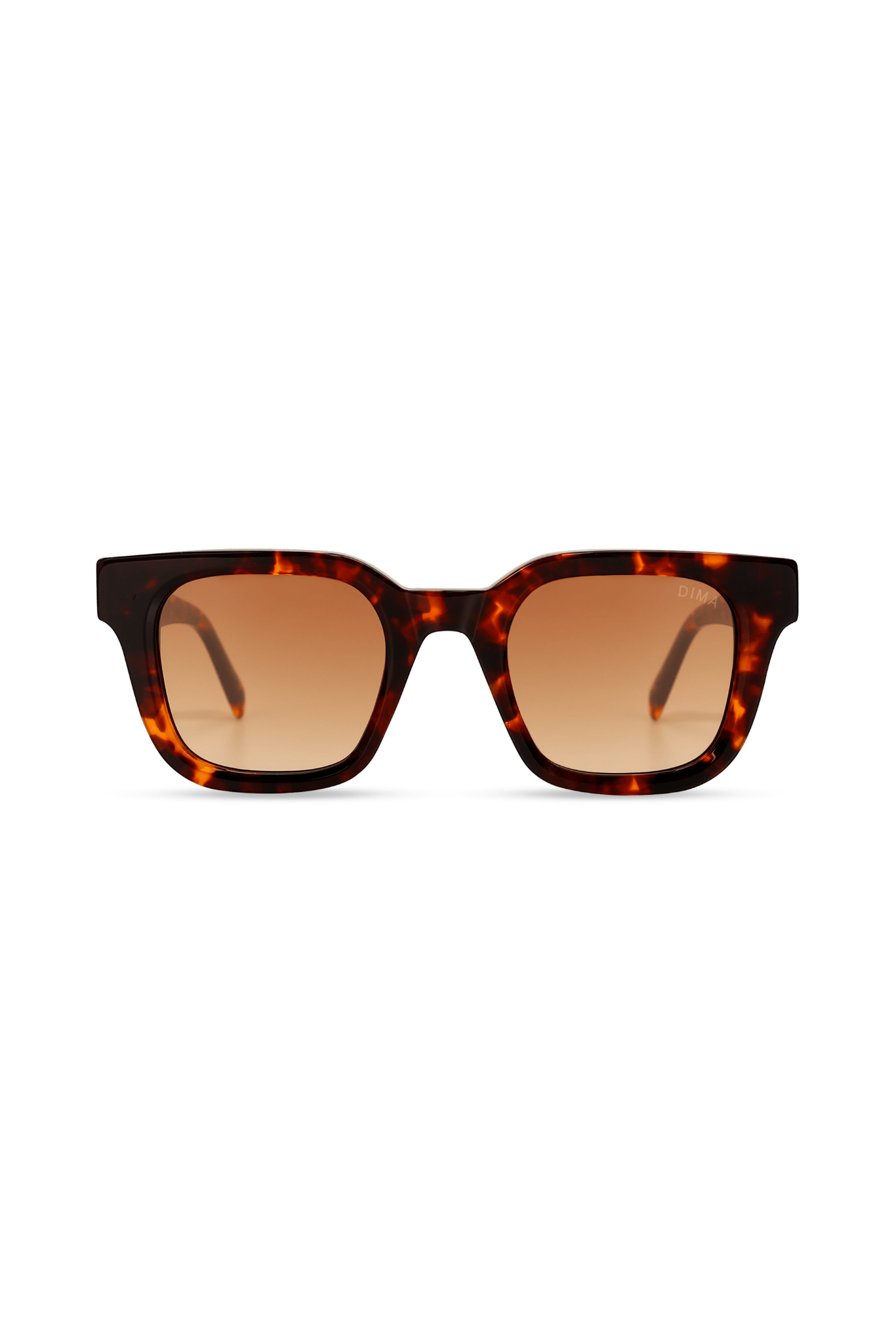 dima sunglass marlo havana frame brown gradient lens 2