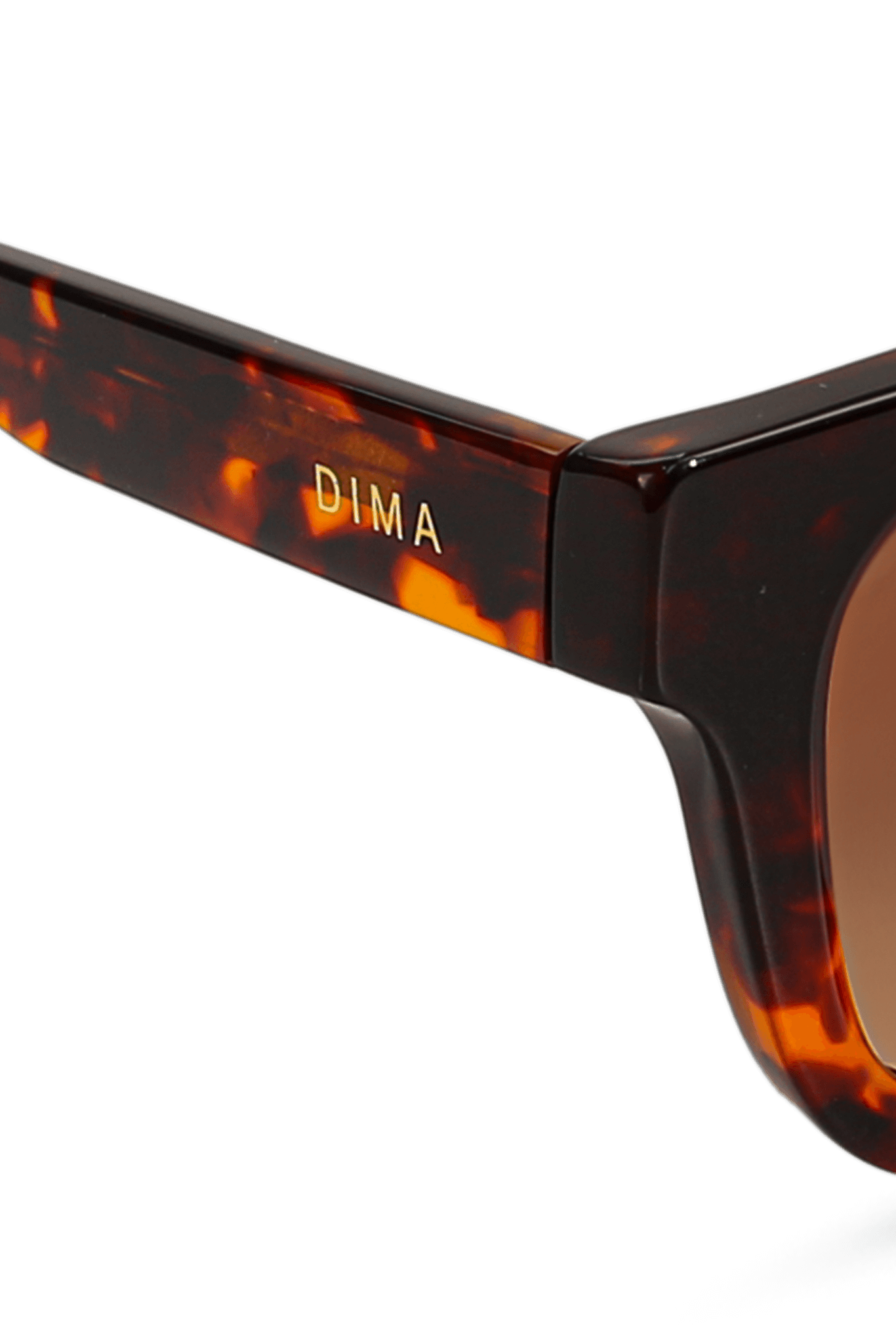 dima sunglass marlo havana frame brown gradient lens 5