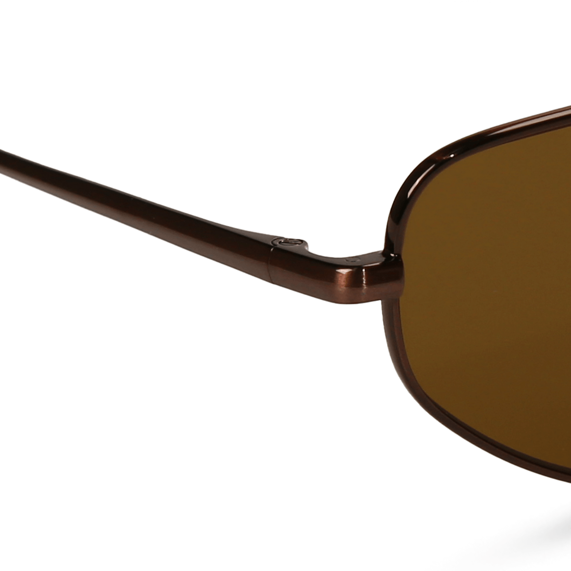 dima sunglass optra brown dark tortoise frame black lens 4