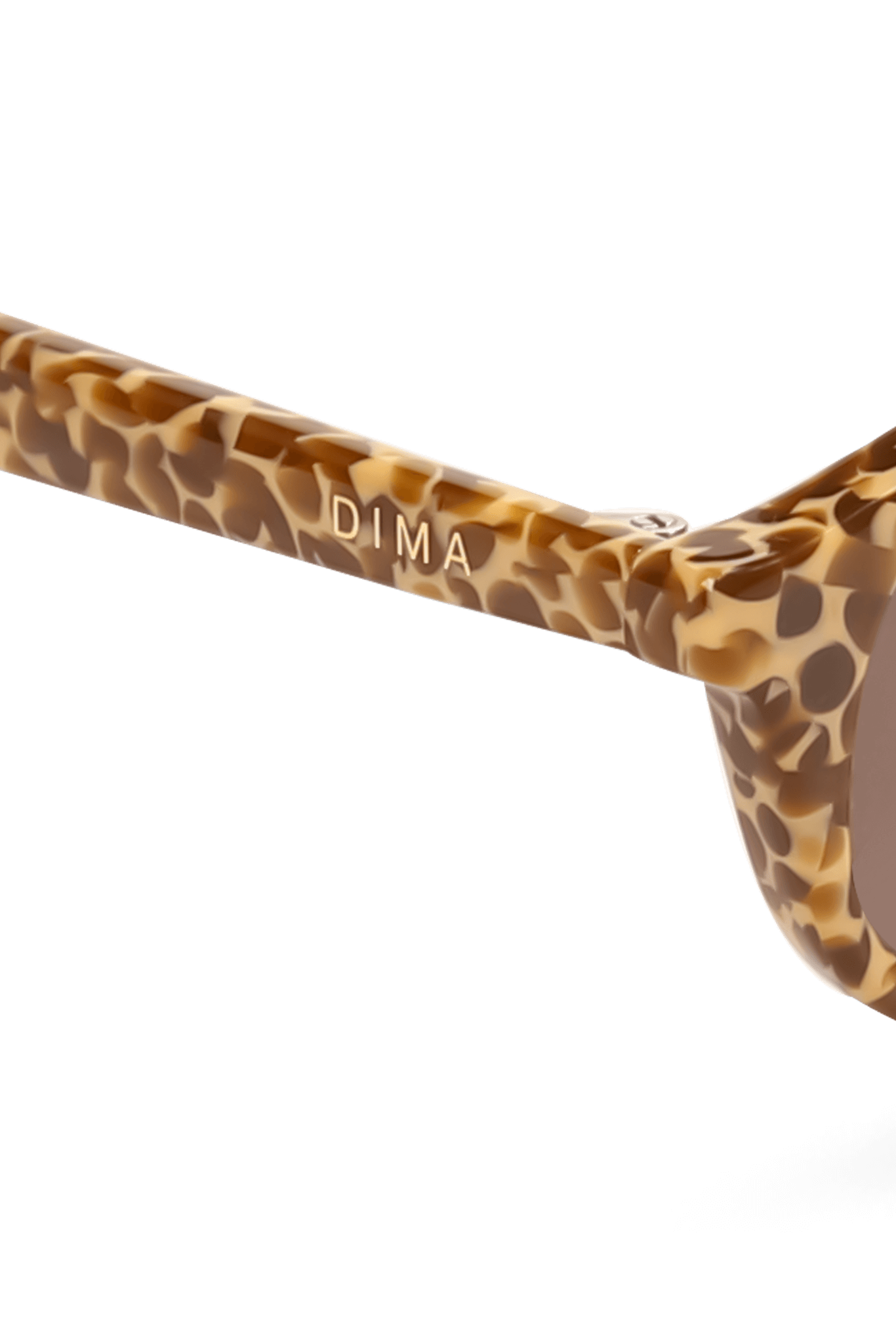 dima sunglass sundra brown blocks frame brown lens 4