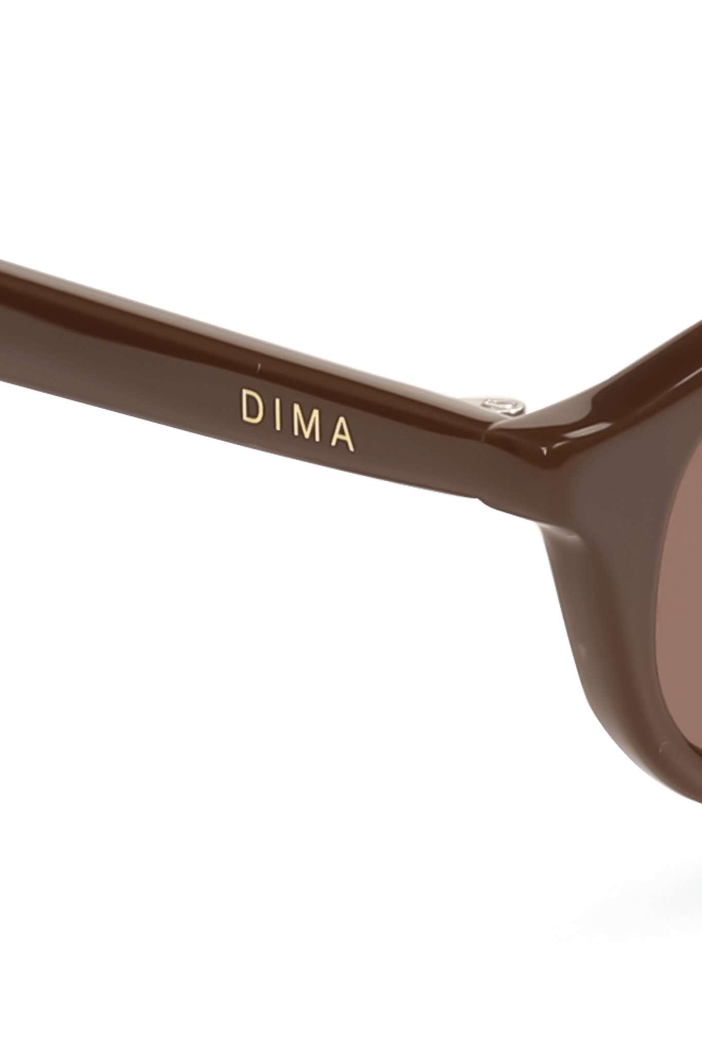 dima sunglass sundra brown frame brown lens 4